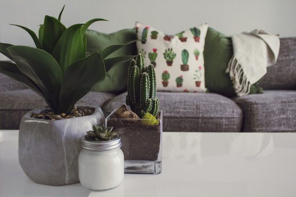 Créer un intérieur chaleureux et fonctionnel pour votre maison